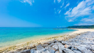 夏季休業のお知らせ