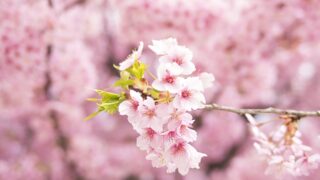 会社移転のご案内